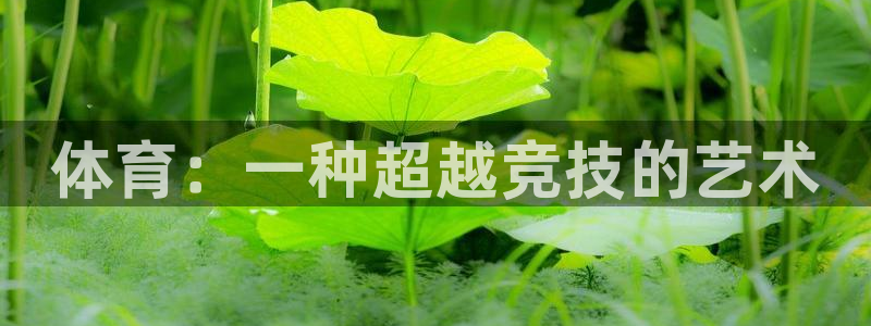 意昂5Kgame2官网