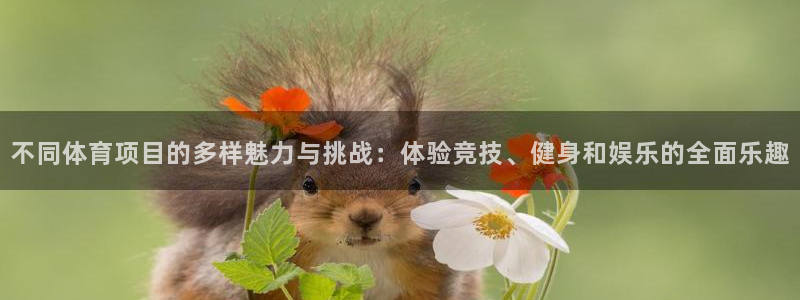 意昂5Kgame集团