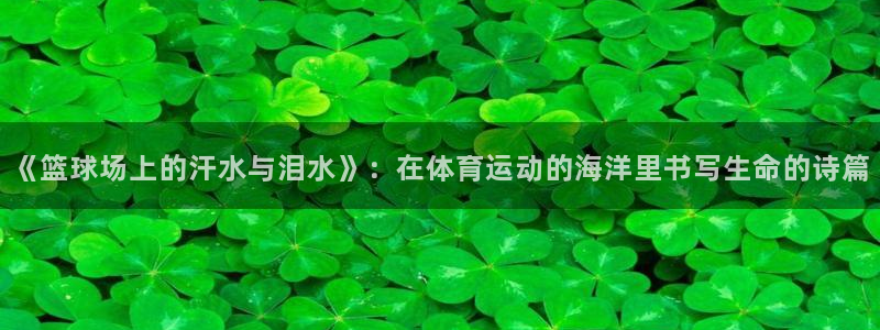 意昂5Kgame2体育