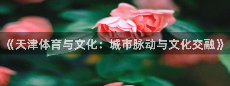 意昂5Kgame体育注册