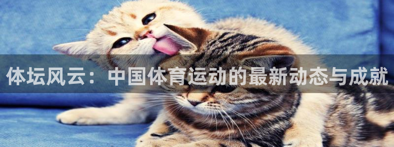 意昂5Kgame体育和杏耀是哪个公司的