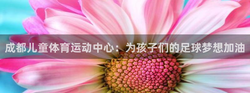 意昂5Kgame体育凯捷平台招商