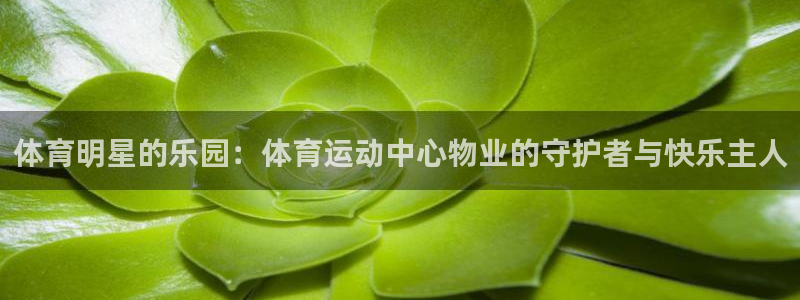 意昂5Kgame体育官网注册